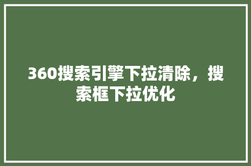 360搜索引擎下拉清除，搜索框下拉优化