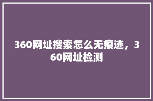 360网址搜索怎么无痕迹，360网址检测