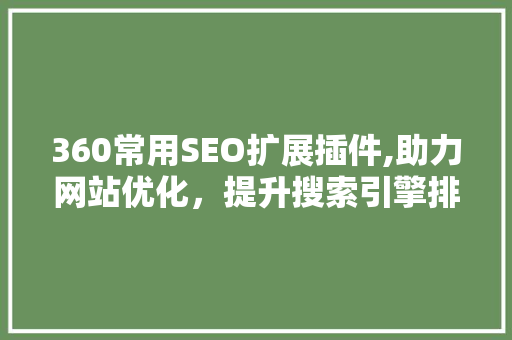 360常用SEO扩展插件,助力网站优化，提升搜索引擎排名 神马SEO