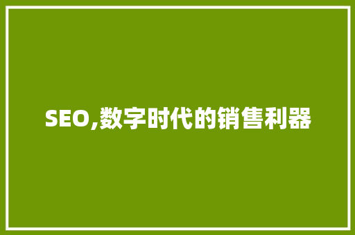 SEO,数字时代的销售利器 SEO关键词