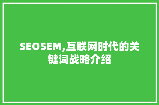 SEOSEM,互联网时代的关键词战略介绍 SEO关键词