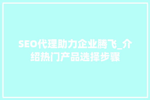 SEO代理助力企业腾飞_介绍热门产品选择步骤
