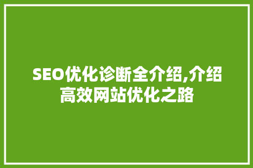 SEO优化诊断全介绍,介绍高效网站优化之路 神马SEO