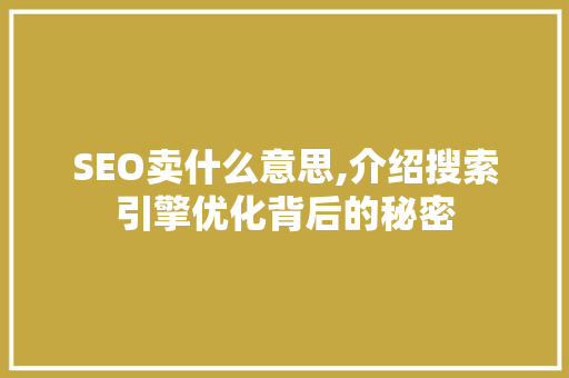 SEO卖什么意思,介绍搜索引擎优化背后的秘密