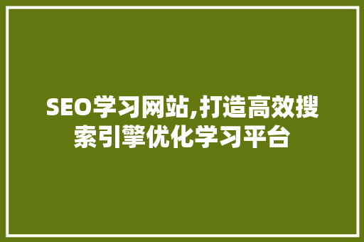 SEO学习网站,打造高效搜索引擎优化学习平台