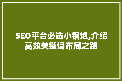 SEO平台必选小钢炮,介绍高效关键词布局之路