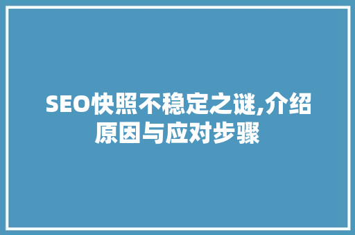 SEO快照不稳定之谜,介绍原因与应对步骤