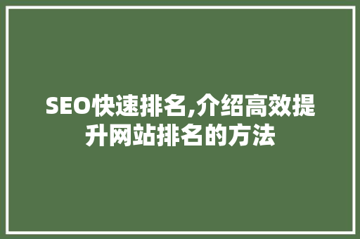 SEO快速排名,介绍高效提升网站排名的方法