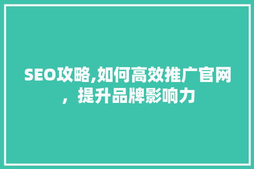 SEO攻略,如何高效推广官网，提升品牌影响力 神马SEO