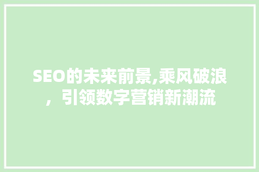 SEO的未来前景,乘风破浪，引领数字营销新潮流