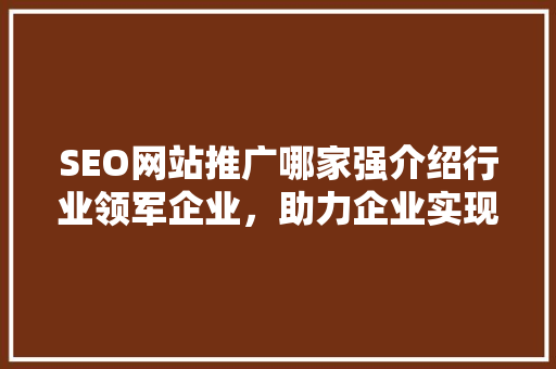SEO网站推广哪家强介绍行业领军企业，助力企业实现线上飞跃
