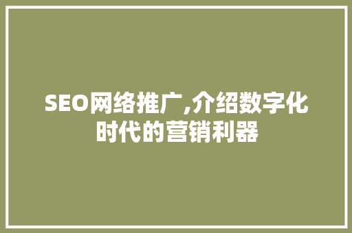 SEO网络推广,介绍数字化时代的营销利器 网站建设公司