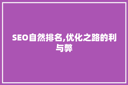 SEO自然排名,优化之路的利与弊 网站建设公司