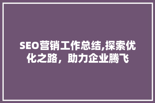 SEO营销工作总结,探索优化之路，助力企业腾飞 必应SEO