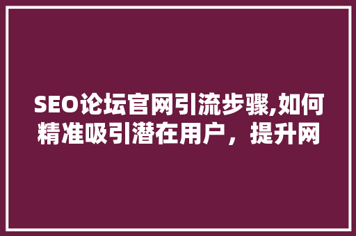 SEO论坛官网引流步骤,如何精准吸引潜在用户，提升网站流量 必应SEO