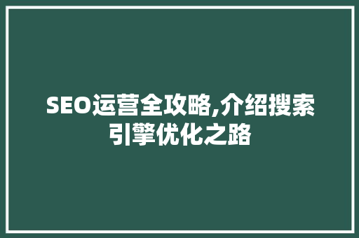 SEO运营全攻略,介绍搜索引擎优化之路 百度SEO