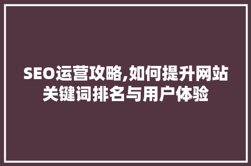 SEO运营攻略,如何提升网站关键词排名与用户体验