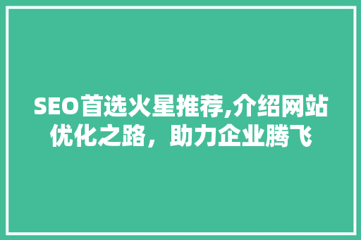 SEO首选火星推荐,介绍网站优化之路，助力企业腾飞 网站建设公司