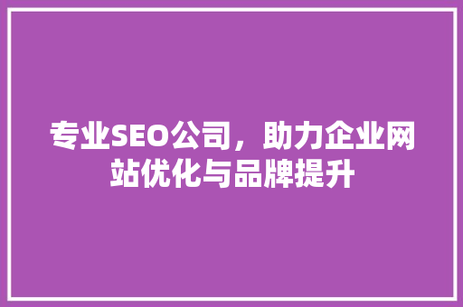 专业SEO公司，助力企业网站优化与品牌提升