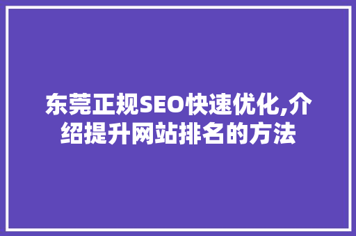 东莞正规SEO快速优化,介绍提升网站排名的方法 SEO关键词