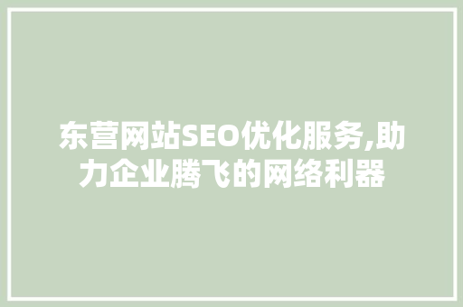 东营网站SEO优化服务,助力企业腾飞的网络利器 神马SEO