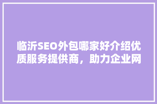 临沂SEO外包哪家好介绍优质服务提供商，助力企业网络营销腾飞