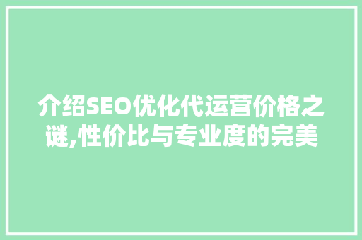 介绍SEO优化代运营价格之谜,性价比与专业度的完美结合 必应SEO