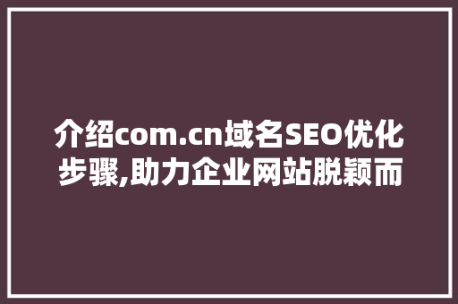 介绍com.cn域名SEO优化步骤,助力企业网站脱颖而出