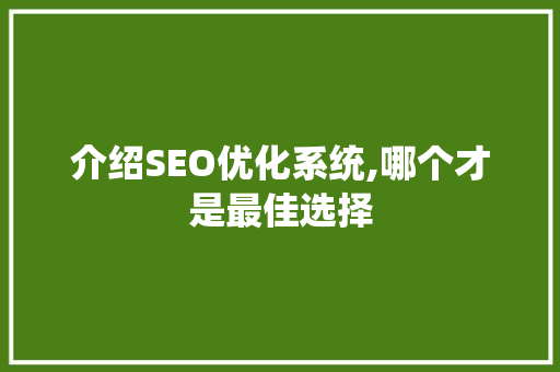 介绍SEO优化系统,哪个才是最佳选择 必应SEO