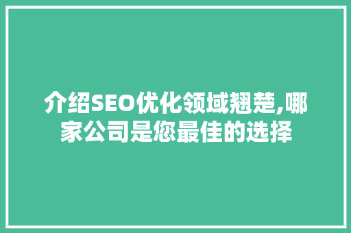 介绍SEO优化领域翘楚,哪家公司是您最佳的选择 SEO关键词