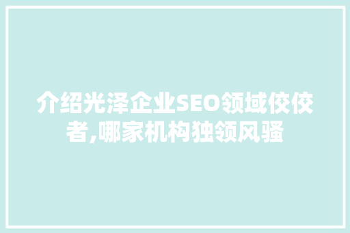 介绍光泽企业SEO领域佼佼者,哪家机构独领风骚