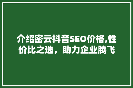 介绍密云抖音SEO价格,性价比之选，助力企业腾飞