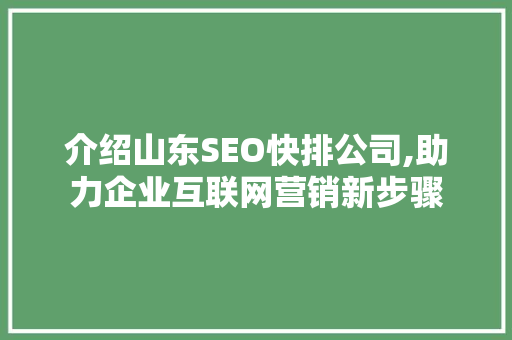 介绍山东SEO快排公司,助力企业互联网营销新步骤