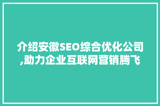 介绍安徽SEO综合优化公司,助力企业互联网营销腾飞