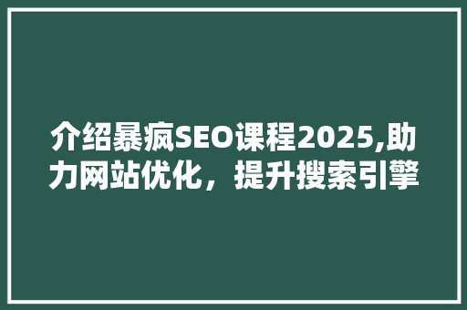 介绍暴疯SEO课程2025,助力网站优化，提升搜索引擎排名 网站建设公司