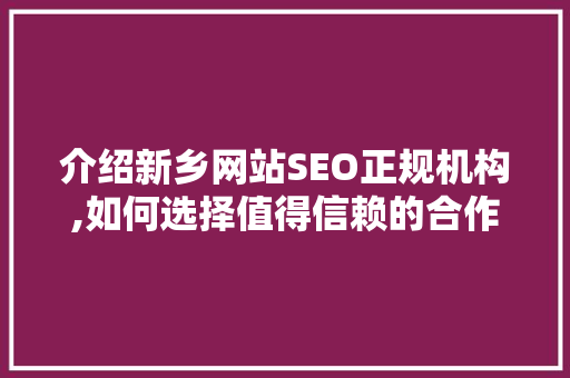 介绍新乡网站SEO正规机构,如何选择值得信赖的合作伙伴 网站建设公司