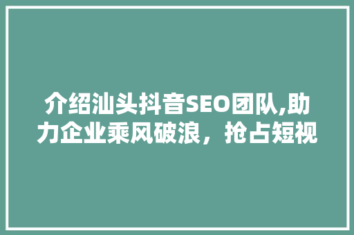 介绍汕头抖音SEO团队,助力企业乘风破浪，抢占短视频流量高地