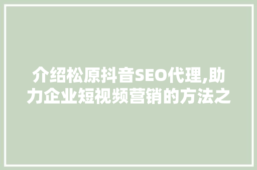 介绍松原抖音SEO代理,助力企业短视频营销的方法之路 网站建设公司