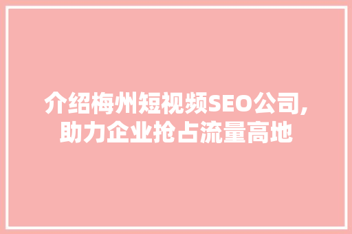介绍梅州短视频SEO公司,助力企业抢占流量高地