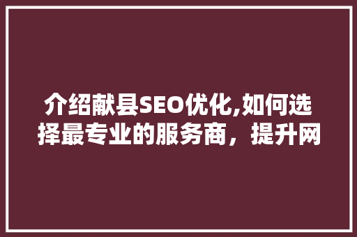 介绍献县SEO优化,如何选择最专业的服务商，提升网站排名 SEO关键词