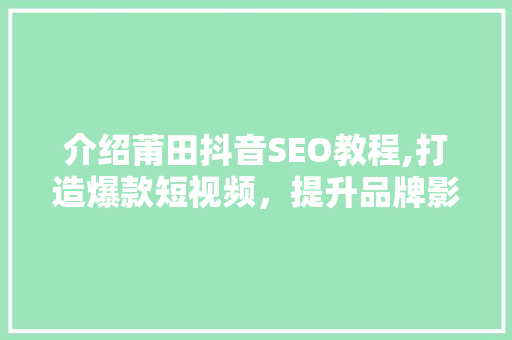 介绍莆田抖音SEO教程,打造爆款短视频，提升品牌影响力