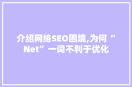 介绍网络SEO困境,为何“Net”一词不利于优化 百度SEO