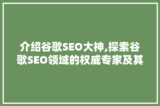 介绍谷歌SEO大神,探索谷歌SEO领域的权威专家及其独到见解