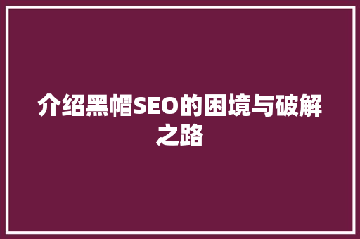 介绍黑帽SEO的困境与破解之路