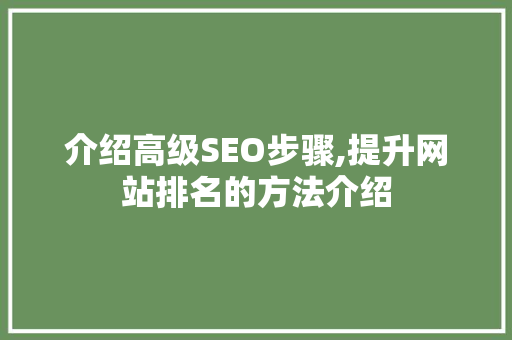 介绍高级SEO步骤,提升网站排名的方法介绍