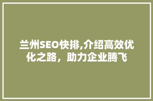 兰州SEO快排,介绍高效优化之路，助力企业腾飞