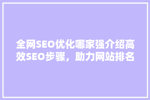 全网SEO优化哪家强介绍高效SEO步骤，助力网站排名腾飞