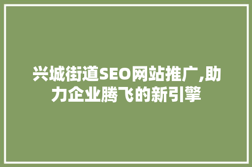 兴城街道SEO网站推广,助力企业腾飞的新引擎