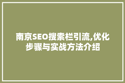 南京SEO搜索栏引流,优化步骤与实战方法介绍 网站建设公司