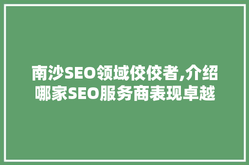 南沙SEO领域佼佼者,介绍哪家SEO服务商表现卓越
